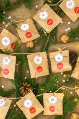 Rückseite Adventskalender für Hunde